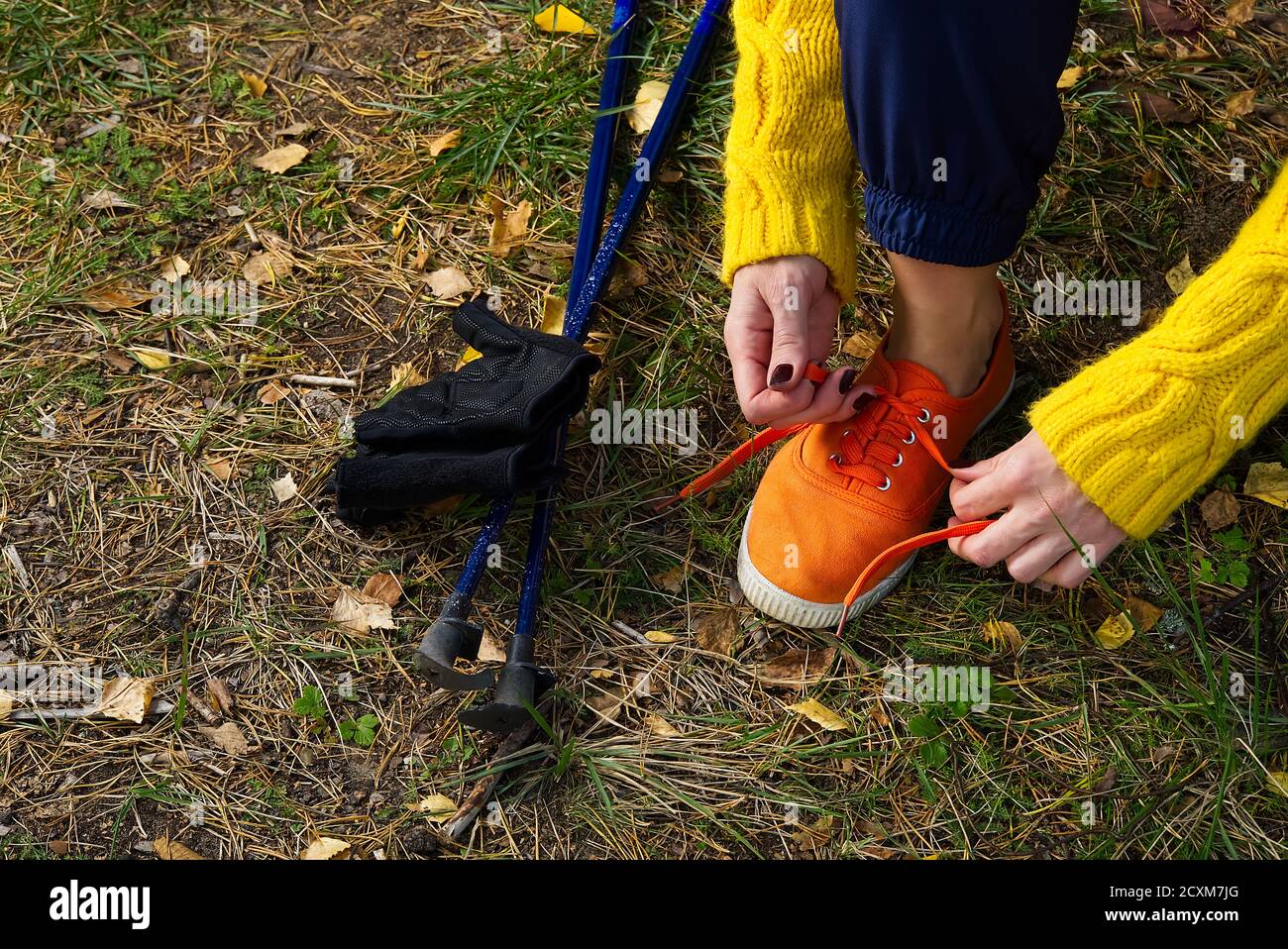 Femme sportive de randonnée qui noue des lacets sur ses chaussures de  jogging tout en prenant une pause après la randonnée dans la forêt  d'automne. Concept de randonnée, style de vie en