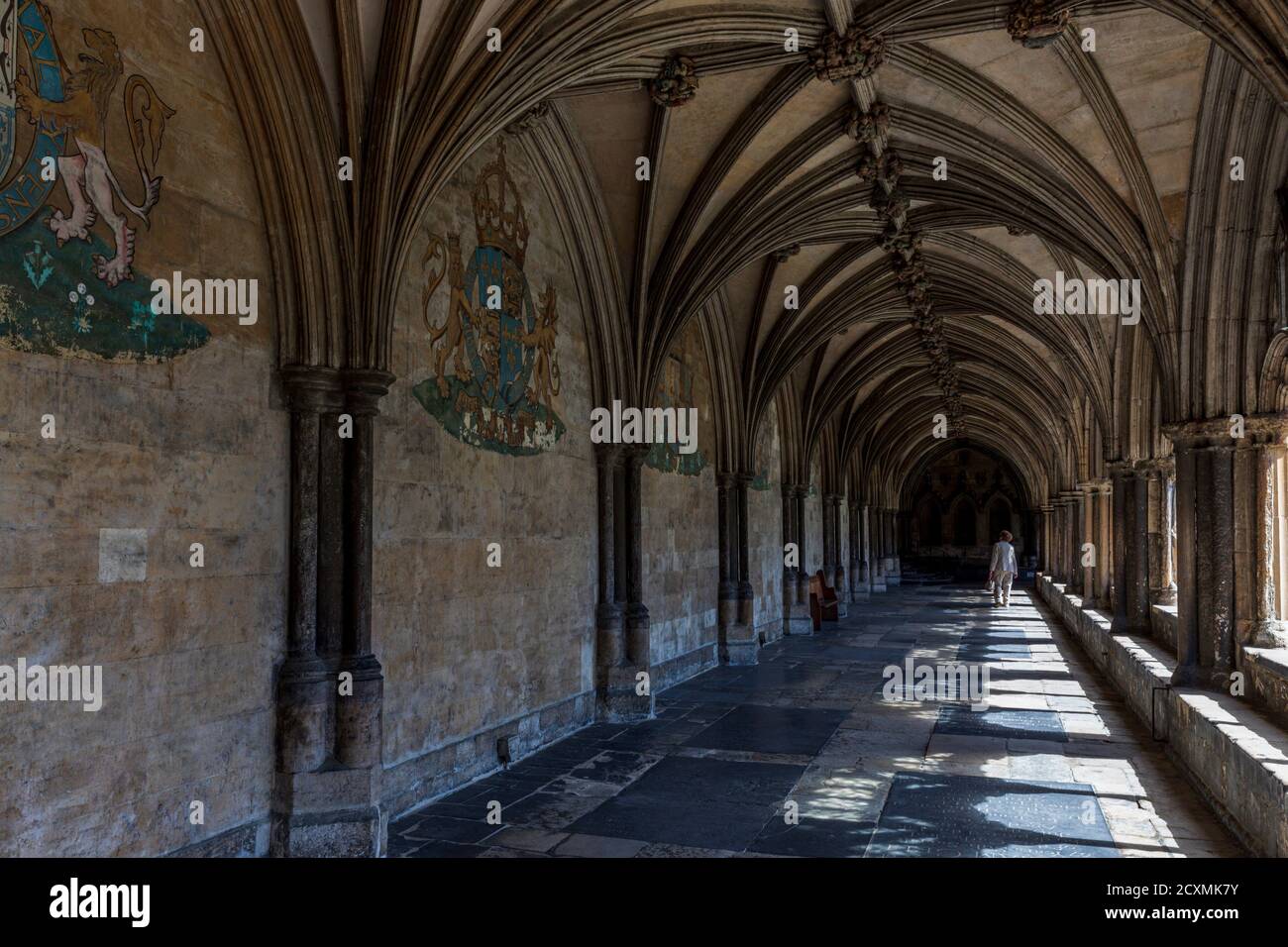 Cloître de la cathédrale de Norwich, Norfolk, Angleterre Banque D'Images