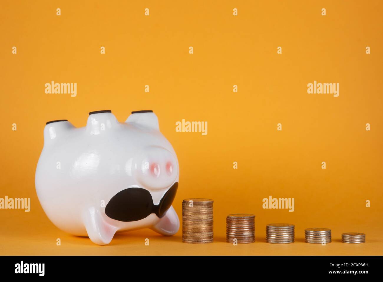 panne du système financier et perte d'épargne. Banque de pigeons et pièces Banque D'Images