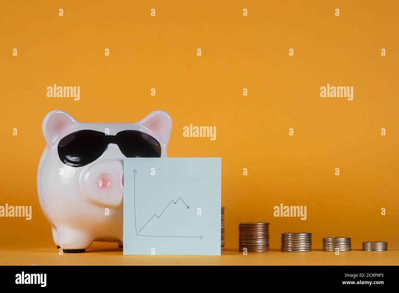 panne du système financier et perte d'épargne. Banque de pigeons et pièces Banque D'Images