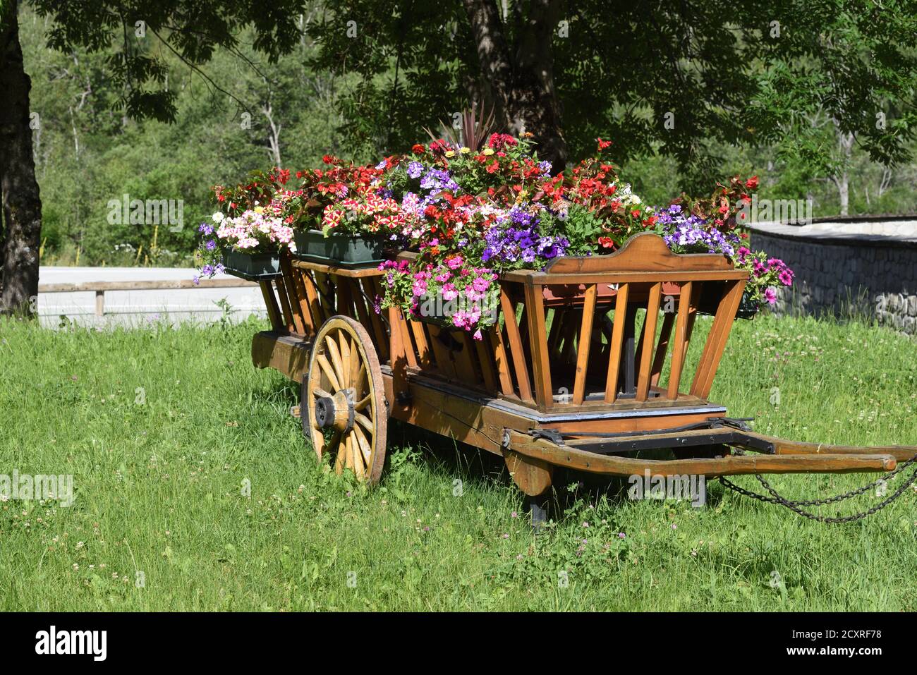 Chariot traditionnel en bois ou chariot de foin utilisé comme jardinière géante pour fleurs ou plantes de couchage entrée au village de Colmars-les-Alpes Provence France Banque D'Images
