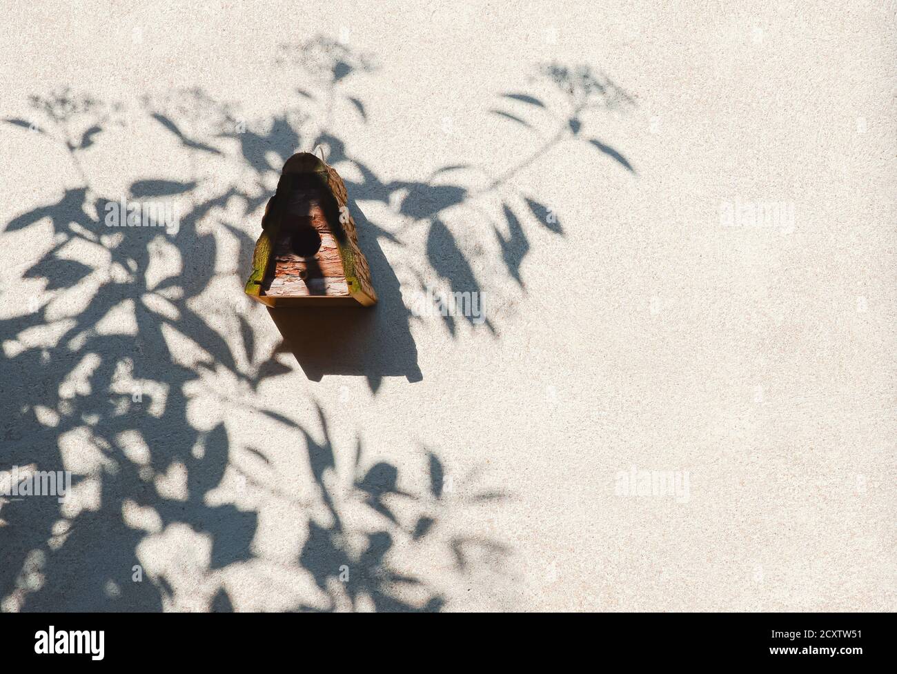 Maison d'oiseaux en bois et ombre d'arbre sur un mur de ciment léger, la nature et la vie de campagne concept Banque D'Images