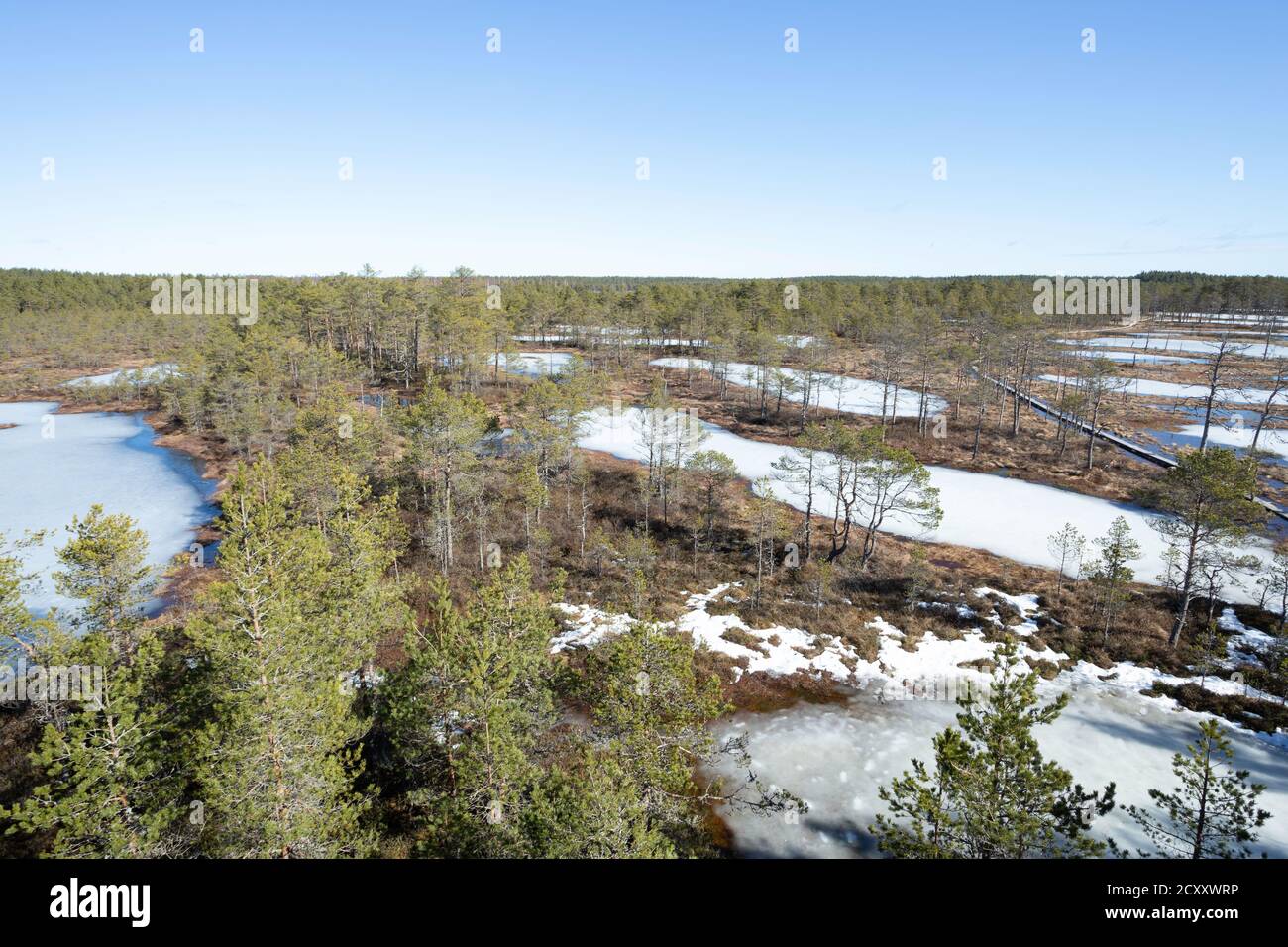 Fin de l'hiver. Estonie, parc national de Lahemaa. Ancien parc ANtional soviétique. Zone de tourbière. Tourbières surélevées Banque D'Images