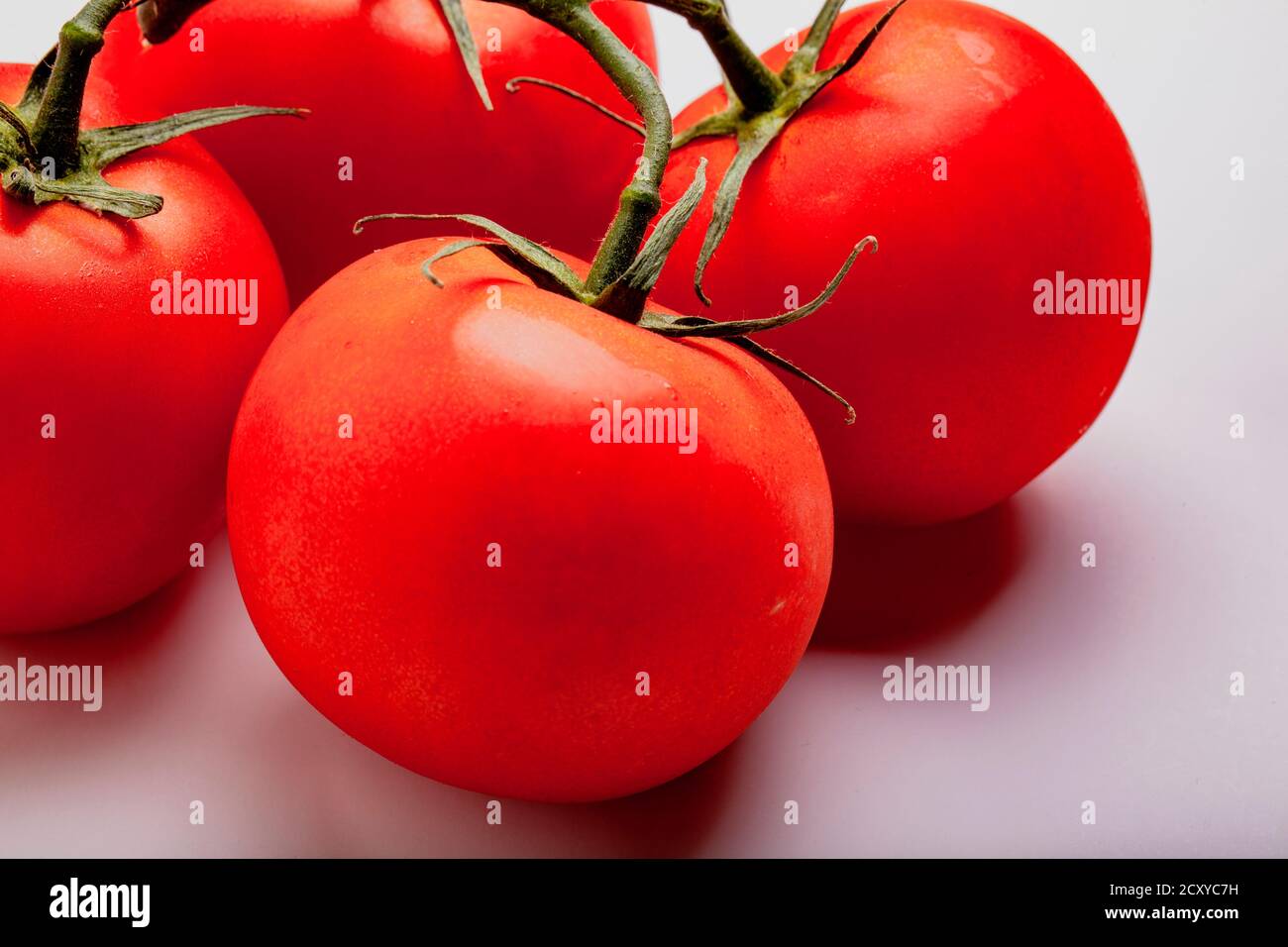 Mouillez les tomates juteuses sur le Vine mûr Banque D'Images