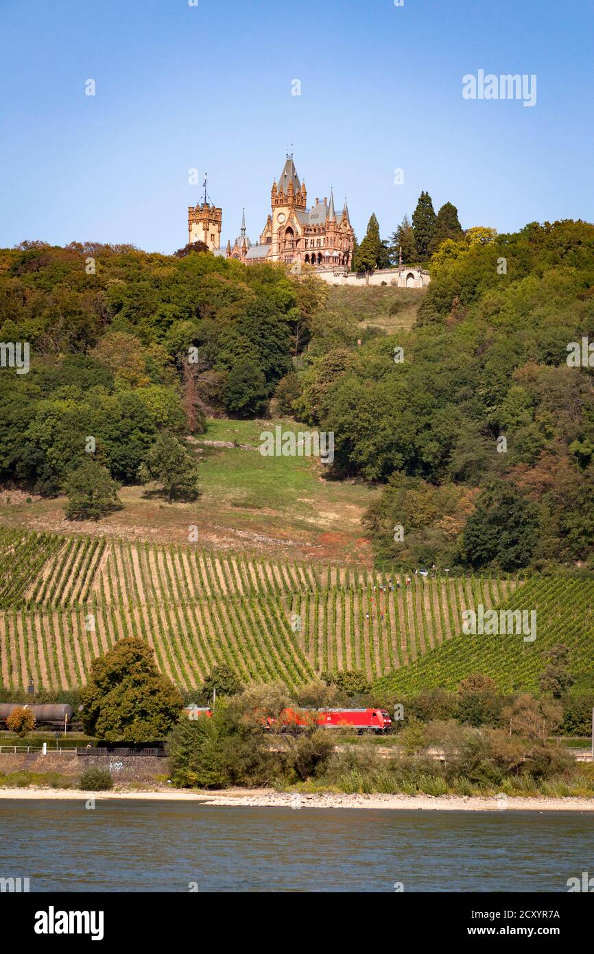 château de Drachenburg sur la colline de Drachenfels au-dessus de Koenigswinter, Rhin, Rhénanie-du-Nord-Westphalie, Allemagne. Schloss Drachenburg am Drachenfels oberhalb Banque D'Images