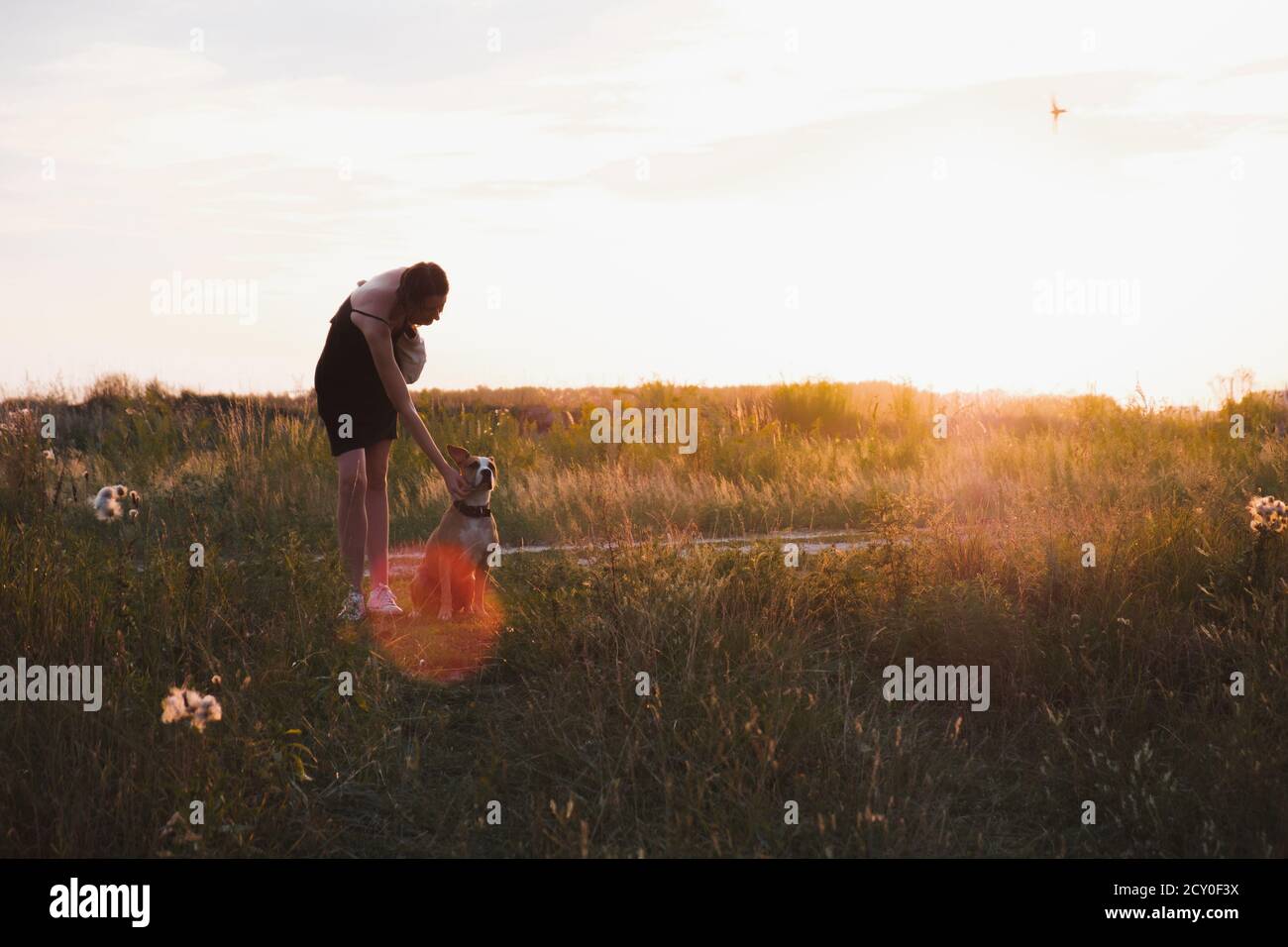 La jeune femme se tient dans le champ avec le chien, les couleurs décolorées pendant le coucher du soleil. Profitez de votre séjour dans la nature avec vos amis, en plein air et en été Banque D'Images