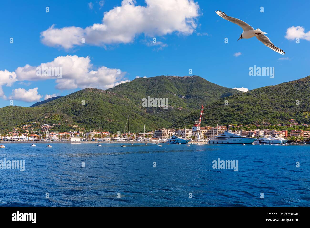 Yachts et la côte de la mer Adriatique, région de Kotor, Monténégro Banque D'Images