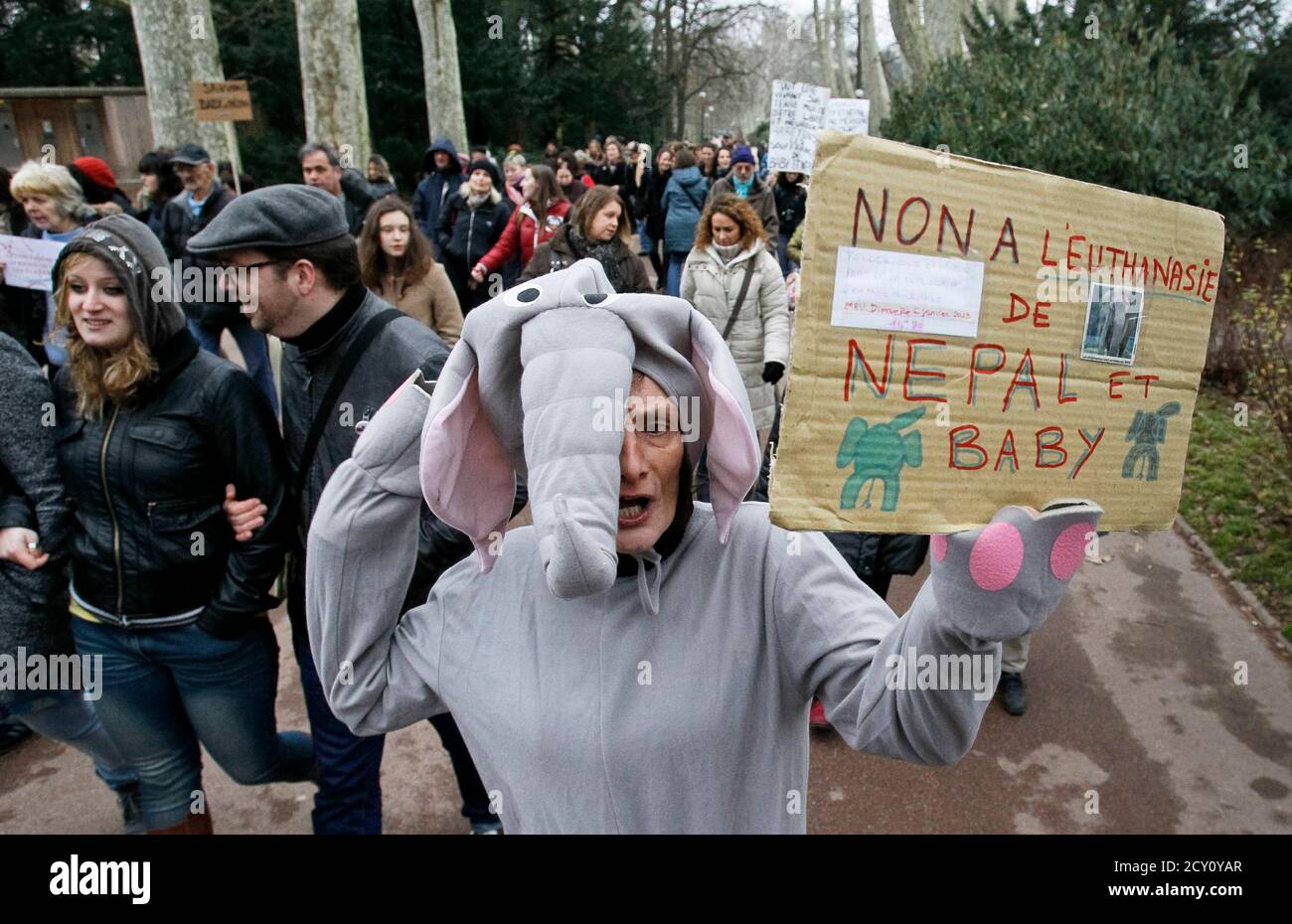 Une Femme Vetue D Un Costume D Elephant Porte Un Panneau Qui Indique Non A L Euthanasie Du Nepal Et Du Bebe Lors D Une Manifestation Au Zoo De La Tete D Or A Lyon