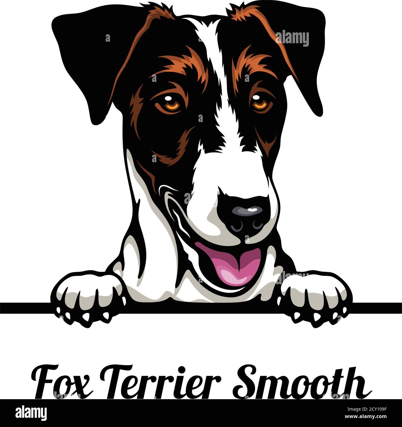 Tête Fox Terrier Smooth - chien race. Image couleur d'une tête de chien isolée sur un fond blanc Illustration de Vecteur