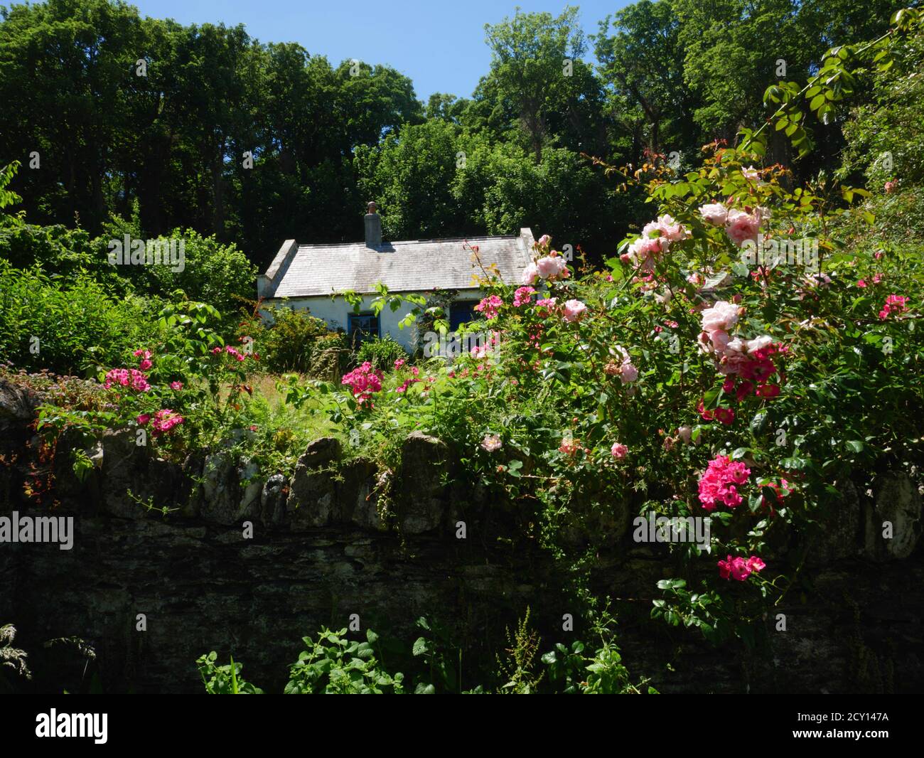 Smuggler's Cottage, sur l'île de Looe ou St George, Looe, Cornwall. Banque D'Images