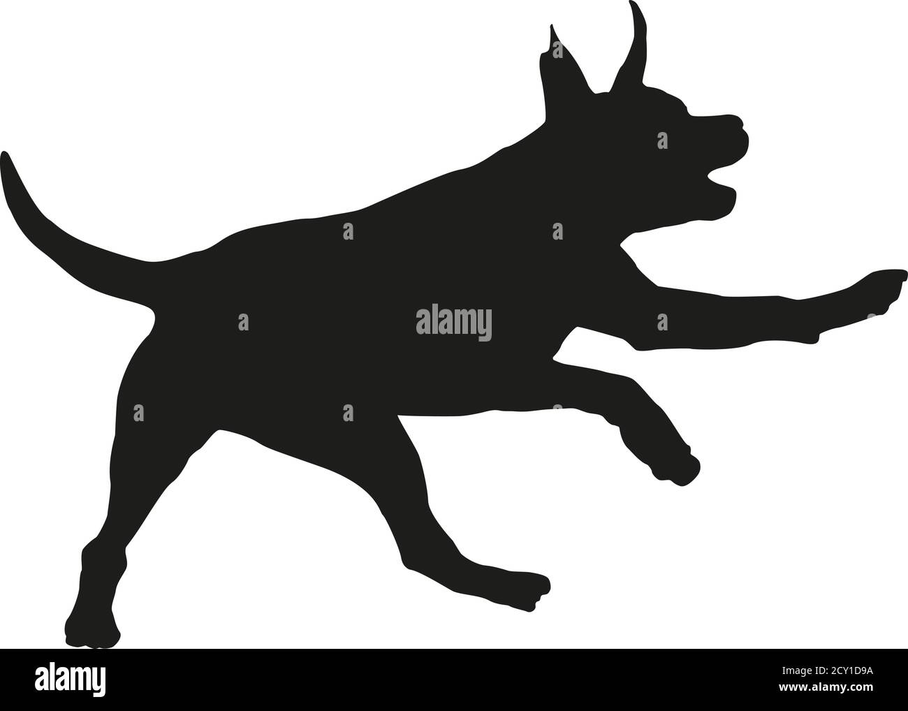 Silhouette de chien noire. Running american staffordshire terrier chiot. Isolé sur un fond blanc. Illustration vectorielle. Illustration de Vecteur