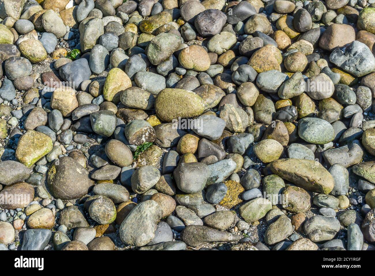 Un gros plan de roches lisses sur un rivage dans le Nord-Ouest du Pacifique. Banque D'Images