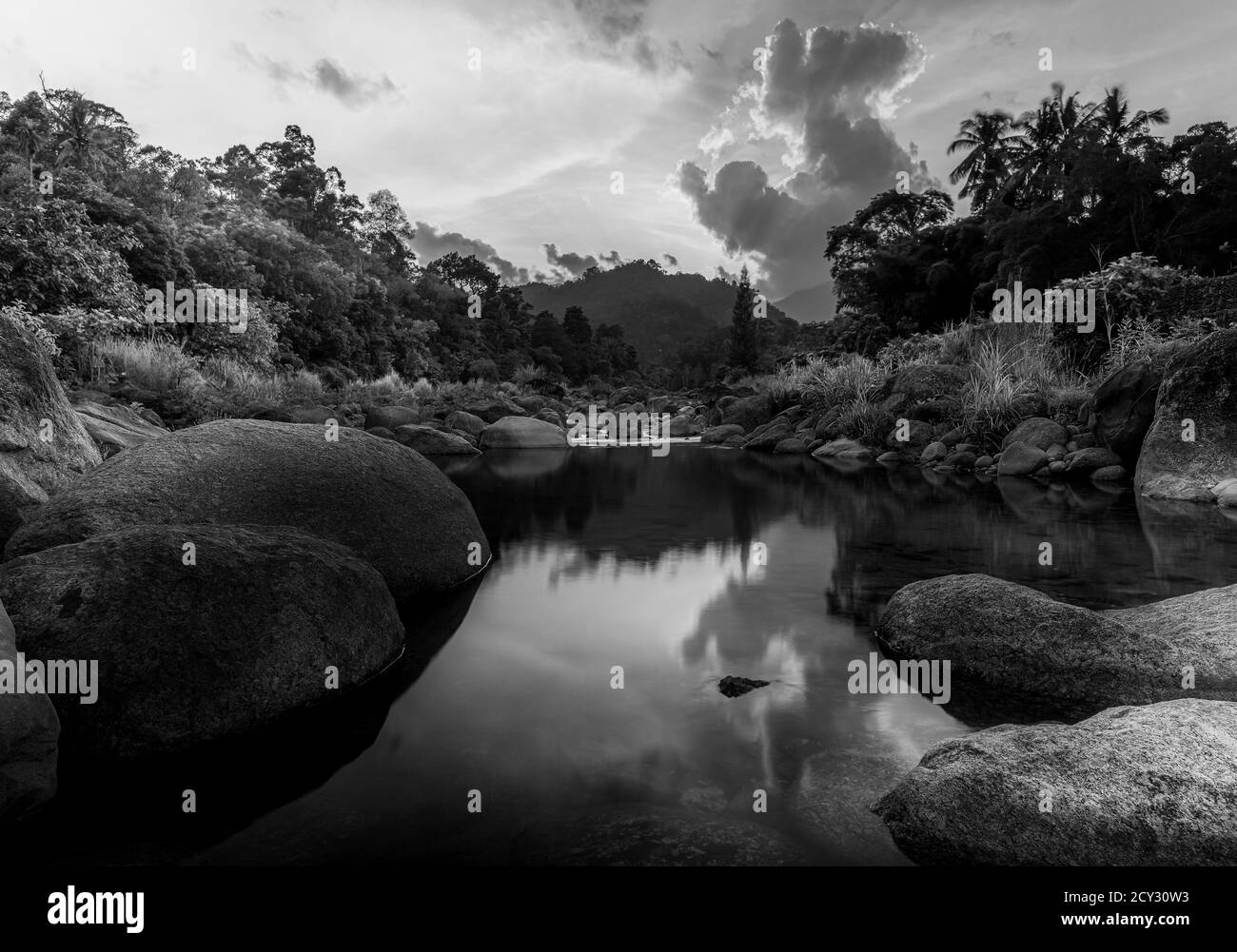 Rivière en pierre et arbre avec ciel et nuage coloré, Voir l'arbre de rivière d'eau, rivière de pierre et feuille d'arbre dans le style de forêt, noir et blanc et monochrome Banque D'Images