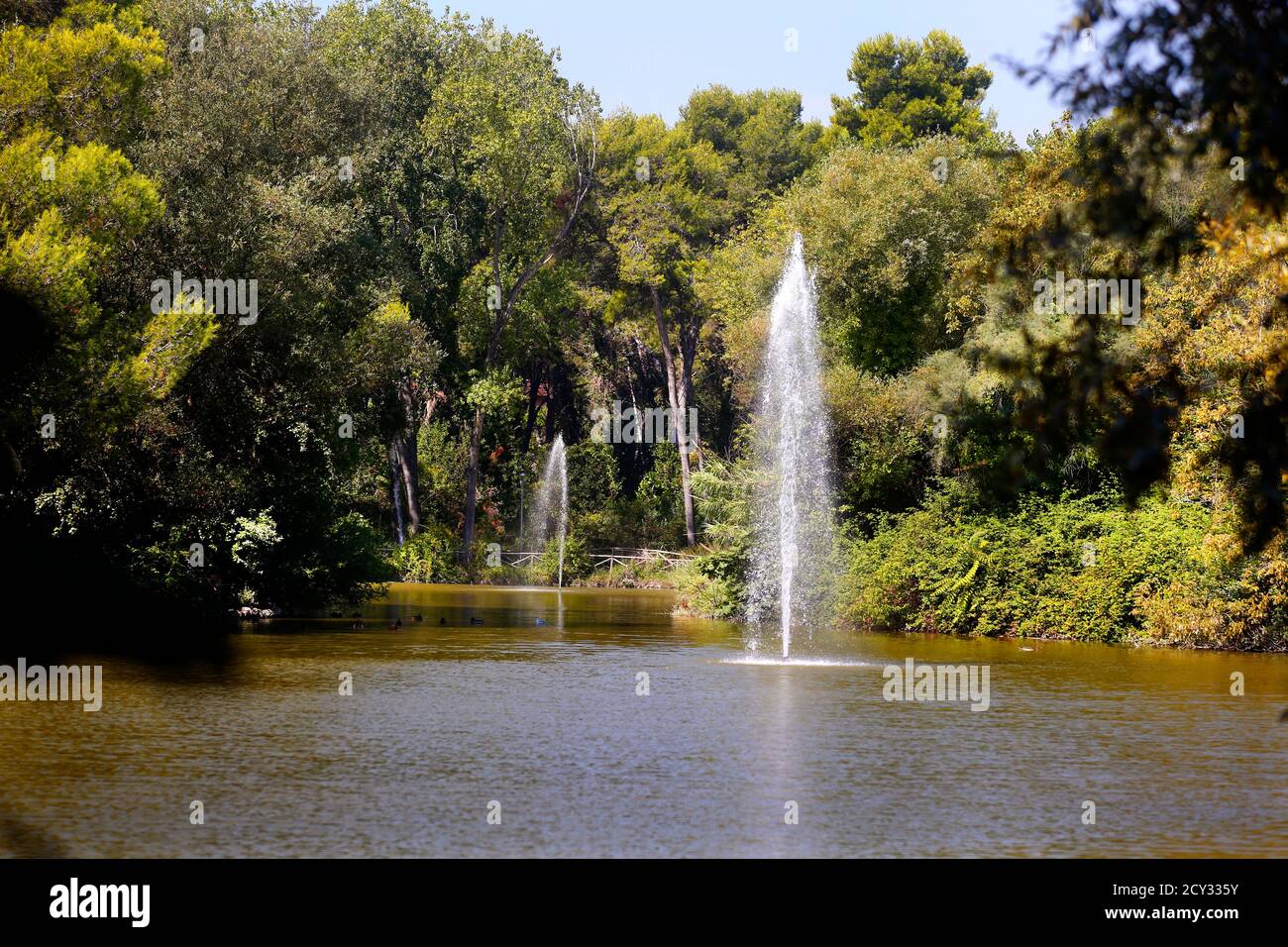 Réserve naturelle Pineta Dannunziana ou Parc d'Avalos à Pescara, Italie. Banque D'Images