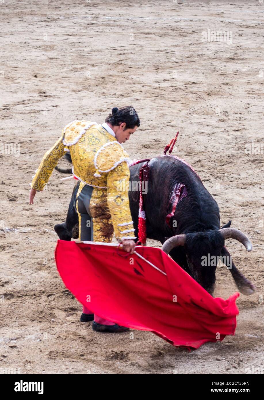 Ambato, ÉQUATEUR - Dec 15, 2015 - torero à pied duels avec Bull au cours de Carnaval Banque D'Images