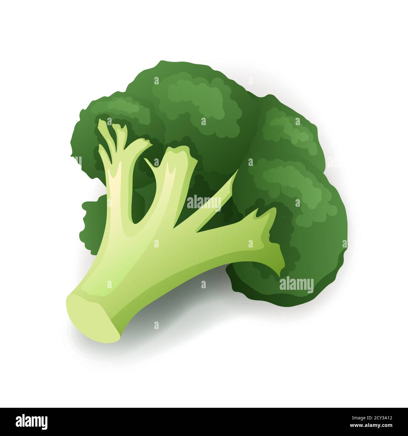 Brocoli vert frais isolé sur une illustration vectorielle blanche Illustration de Vecteur Brocoli vert frais isolé sur une illustration vectorielle blanche Illustration de Vecteur