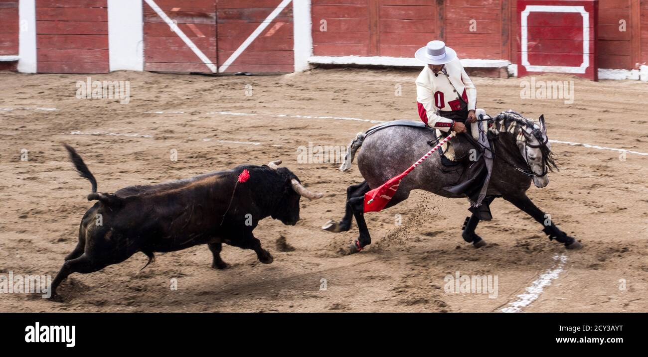 Ambato, ÉQUATEUR - Dec 15, 2015 - torero à cheval duels avec Bull au cours de Carnaval Banque D'Images
