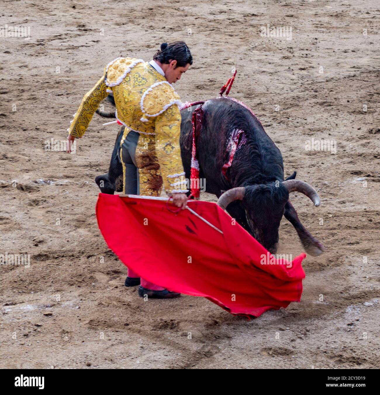 Torero dans l'anneau avec Bull en Banos, Equateur le Feb 15, 2015 Banque D'Images