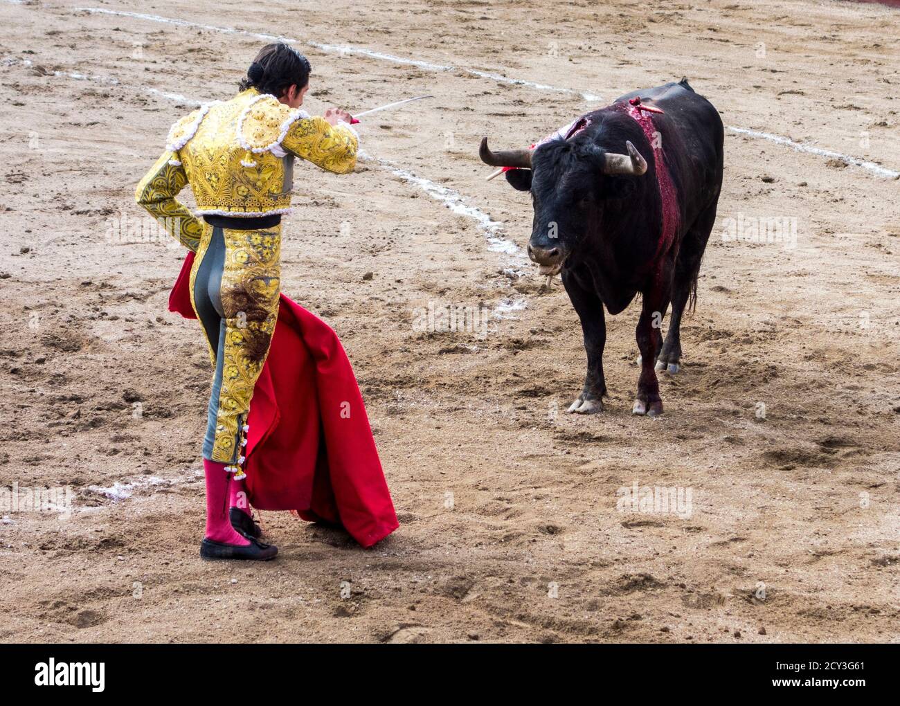 Ambato, ÉQUATEUR - Dec 15, 2015 - torero à pied duels avec Bull au cours de Carnaval Banque D'Images