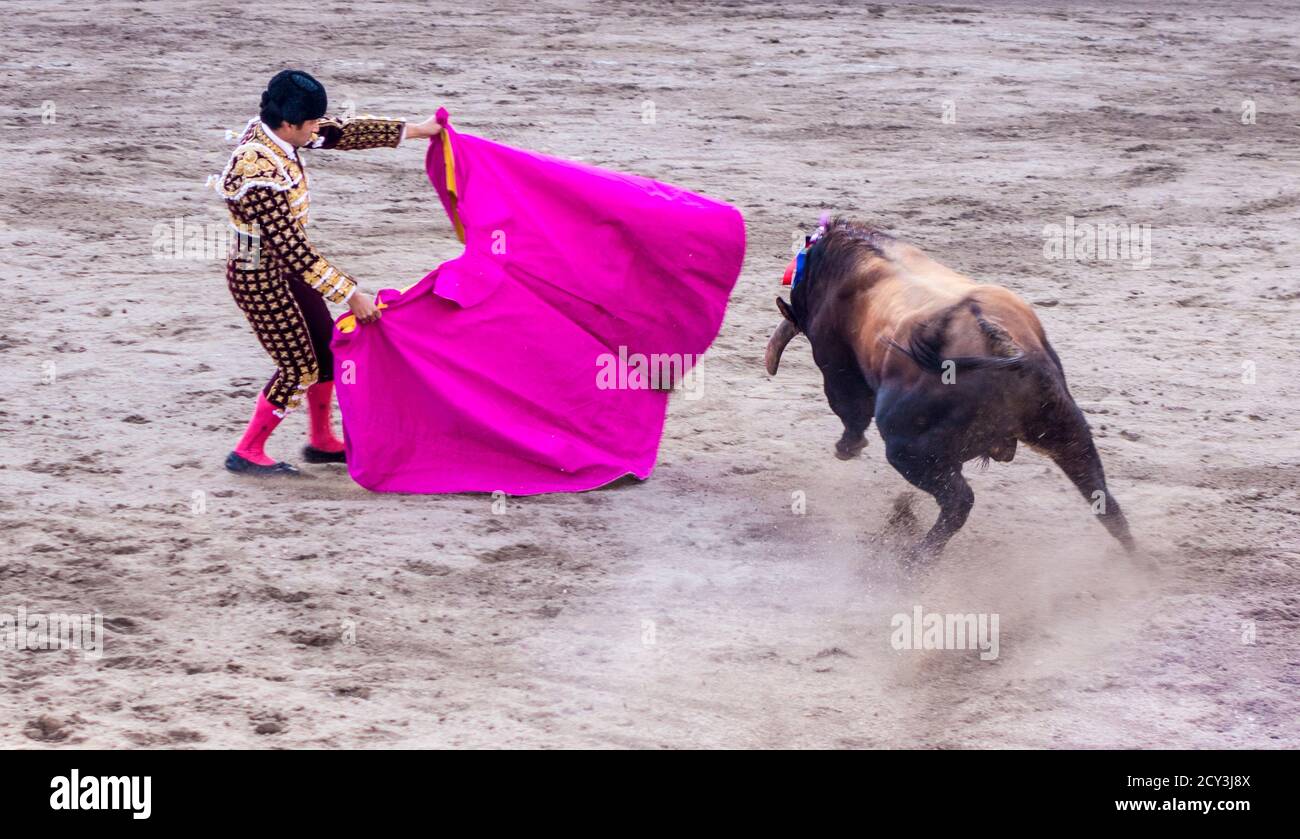 Ambato, ÉQUATEUR - Dec 15, 2015 - torero à pied duels avec Bull au cours de Carnaval Banque D'Images
