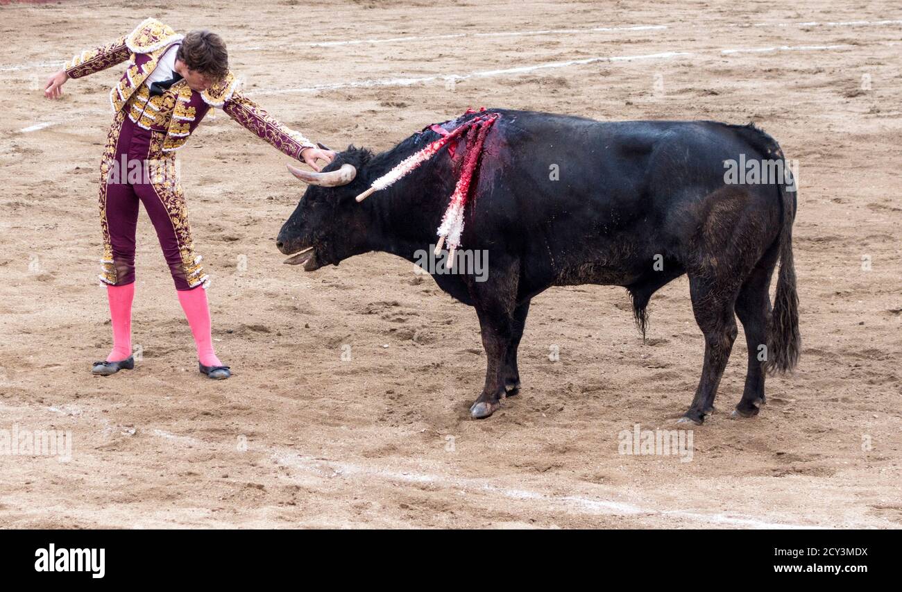 Ambato, ÉQUATEUR - Dec 15, 2015 - torero à pied duels avec Bull au cours de Carnaval Banque D'Images