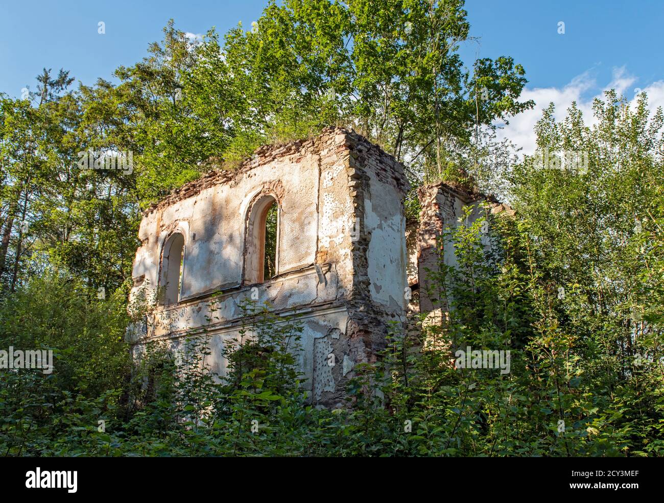 Château surcultivé à la frontière entre la République Tchèque et l'Autriche ruiné sous le rideau de fer, Maříž (Mariz) près de Slavonice, République Tchèque Banque D'Images