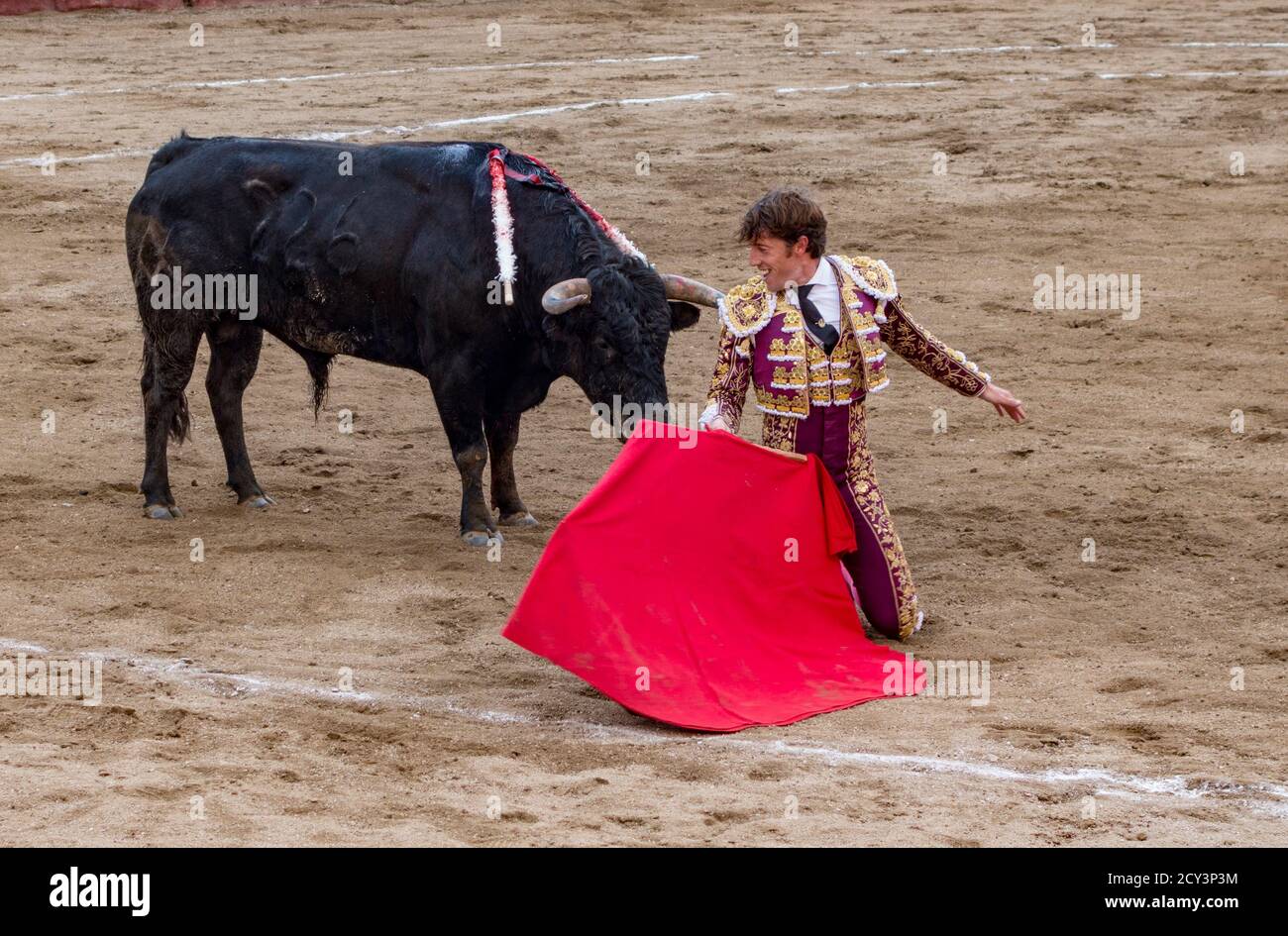 Torero dans l'anneau avec Bull en Banos, Equateur le Feb 15, 2015 Banque D'Images