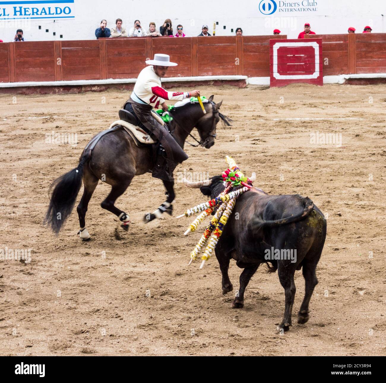 Ambato, ÉQUATEUR - Dec 15, 2015 - torero à cheval duels avec Bull au cours de Carnaval Banque D'Images