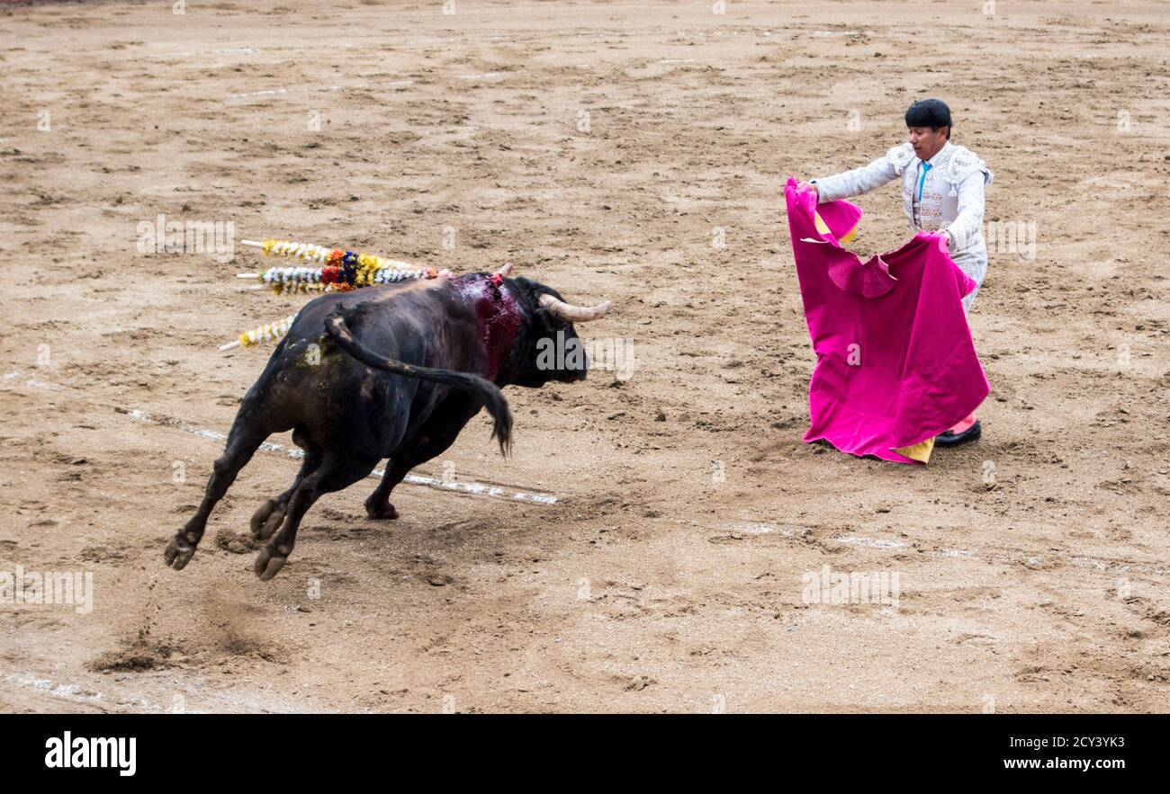 Ambato, ÉQUATEUR - Dec 15, 2015 - torero à pied duels avec Bull au cours de Carnaval Banque D'Images