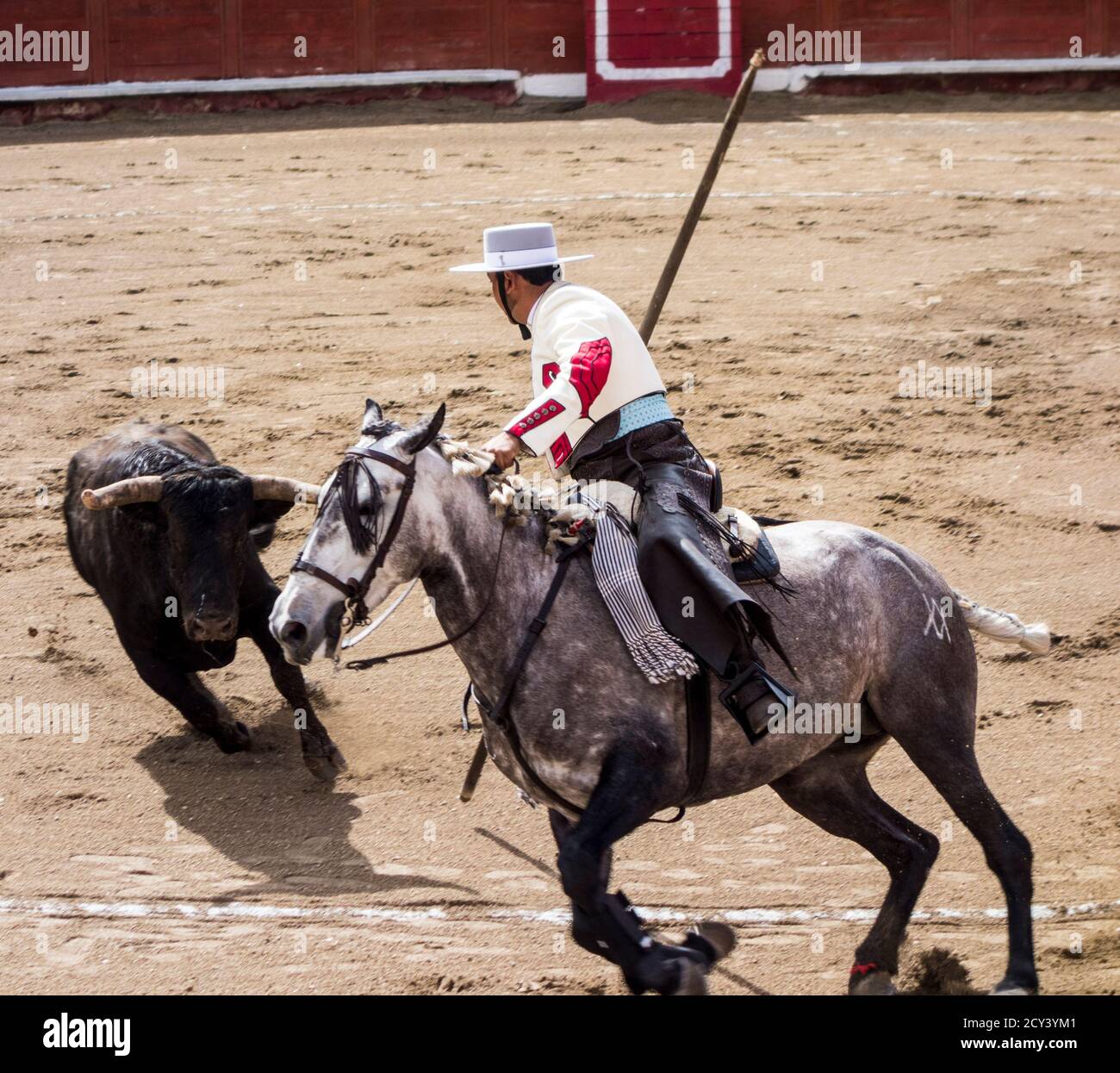 Ambato, ÉQUATEUR - Dec 15, 2015 - torero à cheval duels avec Bull au cours de Carnaval Banque D'Images