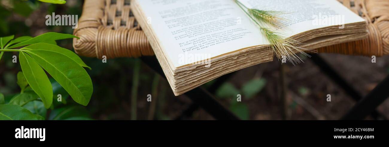 Fleurs sauvages sur un livre ouvert sur la vieille chaise en osier dans le jardin, film rétro, nature et concept de vie lente Banque D'Images