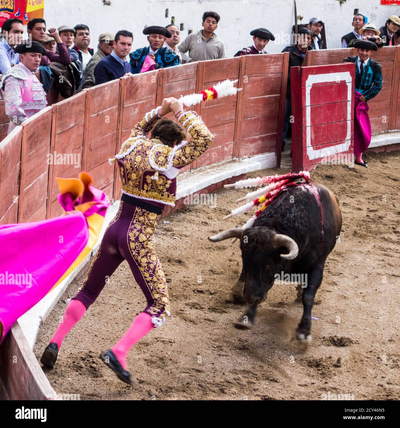 Ambato, ÉQUATEUR - Dec 15, 2015 - torero à pied duels avec Bull au cours de Carnaval Banque D'Images
