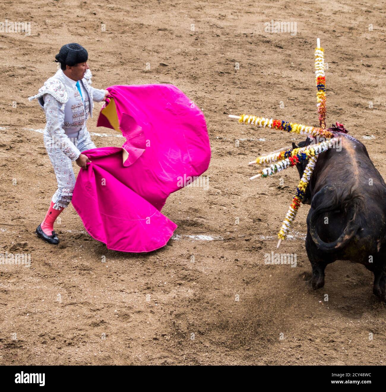 Ambato, ÉQUATEUR - Dec 15, 2015 - torero à pied duels avec Bull au cours de Carnaval Banque D'Images