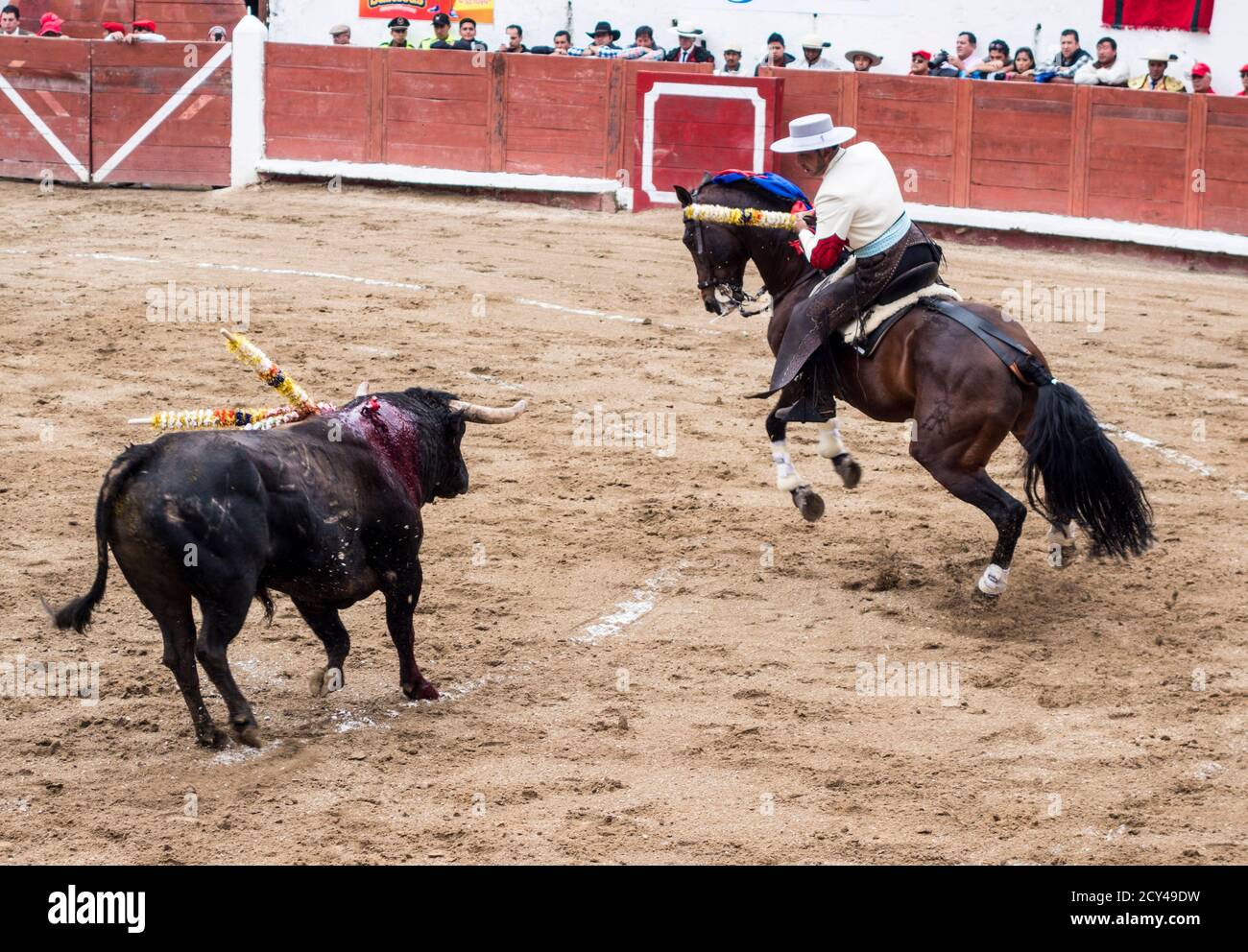 Ambato, ÉQUATEUR - Dec 15, 2015 - torero à cheval duels avec Bull au cours de Carnaval Banque D'Images