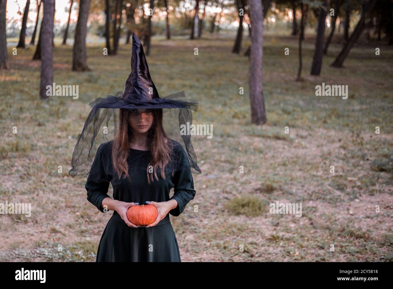 Jeune mignonne belle femme en robe sombre et chapeau de sorcière tient une citrouille orange dans ses mains. Costume de fête d'Halloween. Forêt, parc avec arbres d'automne Banque D'Images