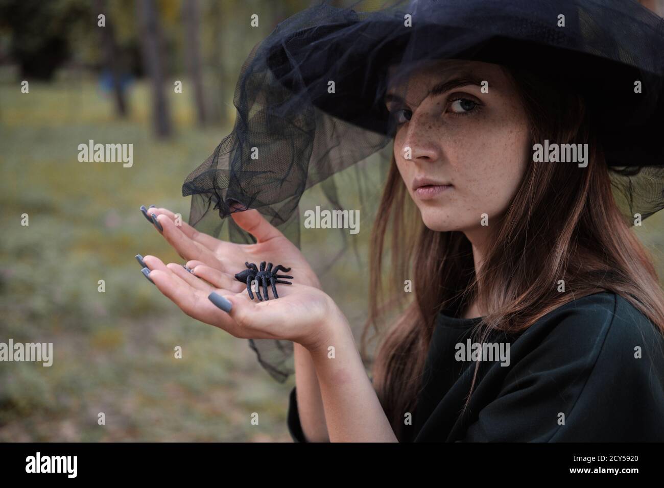 Jeune mignonne belle femme en robe sombre et chapeau de sorcière hotsblack araignée dans ses mains. Costume de fête d'Halloween. Forêt, parc avec arbres d'automne Banque D'Images