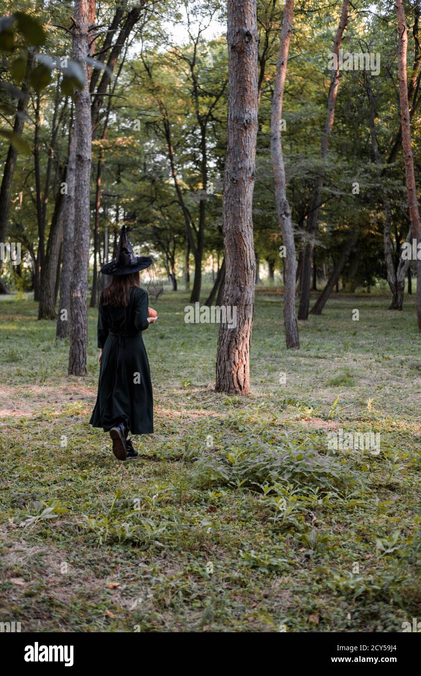 Une jeune femme en robe noire et chapeau de sorcière tient une citrouille dans ses mains. Costume de fête d'Halloween. Forêt, parc avec arbres d'automne Banque D'Images