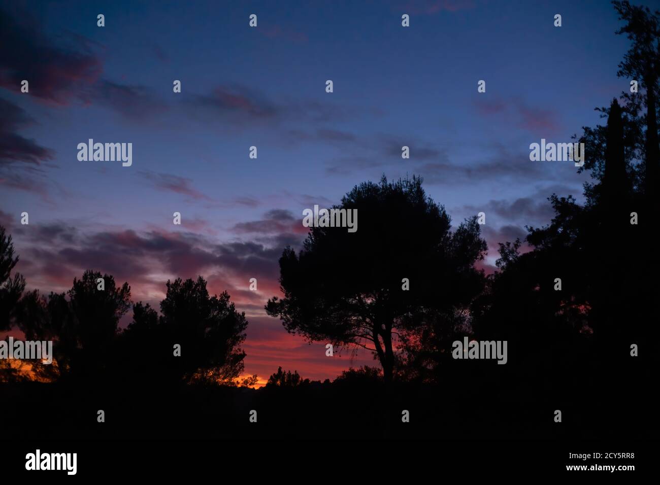 Photographie d'un beau coucher de soleil d'hiver avec des arbres silhouettés et un ciel orange, bleu, rouge et violet. Banque D'Images