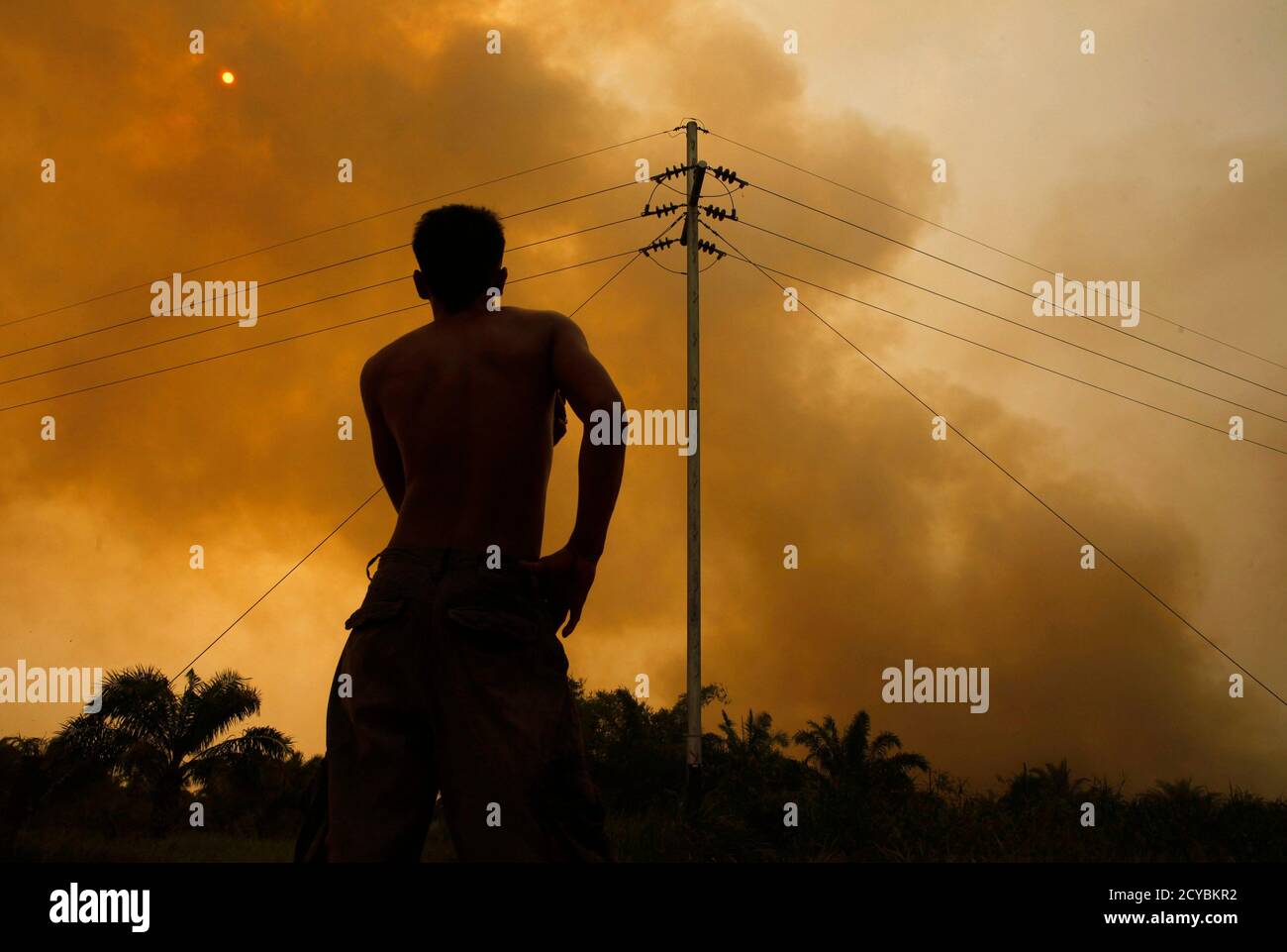 A Worker Stands As He Looks On At Fire From Burning Trees Planted For Palm Oil During Haze At Bangko Pusako District In Rokan Hilir On Indonesia S Riau Province June 24 2013<script async src=