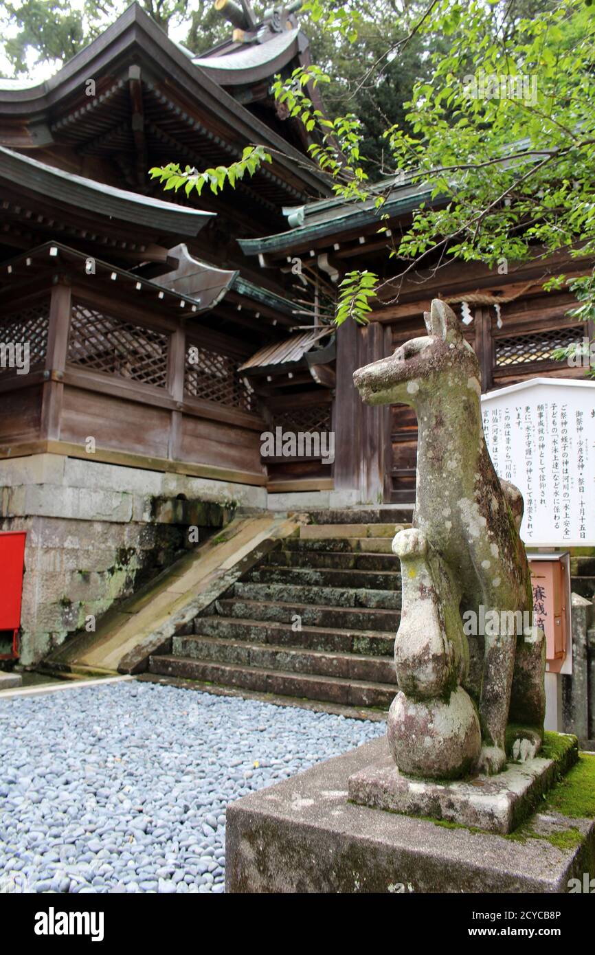 Statue de renard de Kitsune d'inari jinja autour du sanctuaire de Suwa à Nagasaki. Pris en août 2019. Banque D'Images