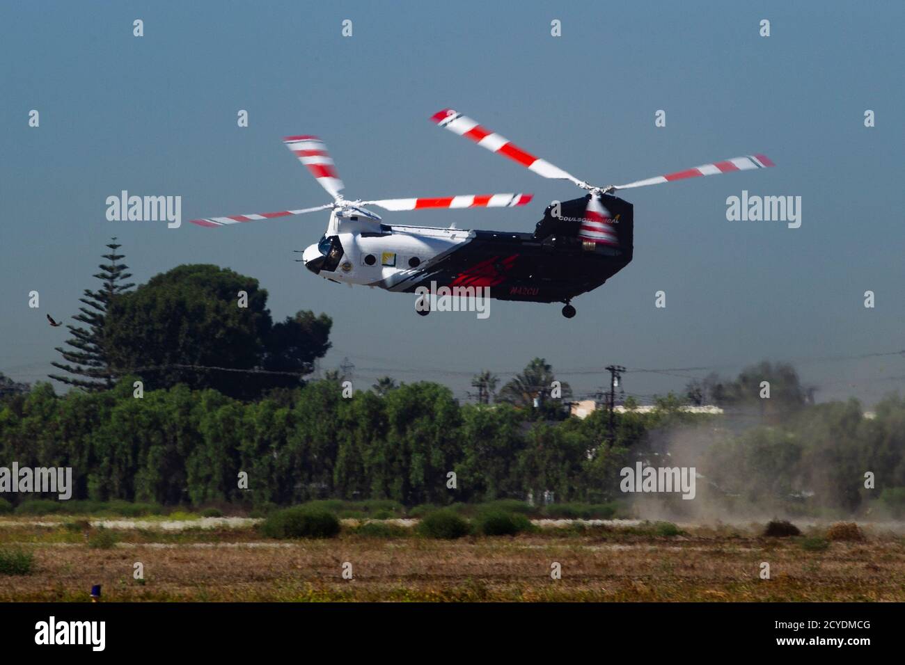 Un hélicoptère lourd CH-47 Chinook, propriété et exploité par Coulson Aviation, Inc., se lève de l'aérodrome de l'armée de Los Alamitos, le 30 septembre 2020, pour une démonstration de vol lors d'une conférence de presse à la base d'entraînement des forces interarmées, Los Alamitos, Californie. Cet hélicoptère, considéré comme le plus grand hélianteur du monde en raison de sa capacité à faire tomber 3,000 gallons d'eau ou de produit ignifuge en un seul passage, se présente sur la base pour une réaction de 24/7 feux de forêt dans le sud de la Californie jusqu'à la fin de l'année. L'hélicoptère arrive dans le sud de la Californie grâce à un partenariat avec la compagnie de pompiers du comté d'Orange avec fu Banque D'Images