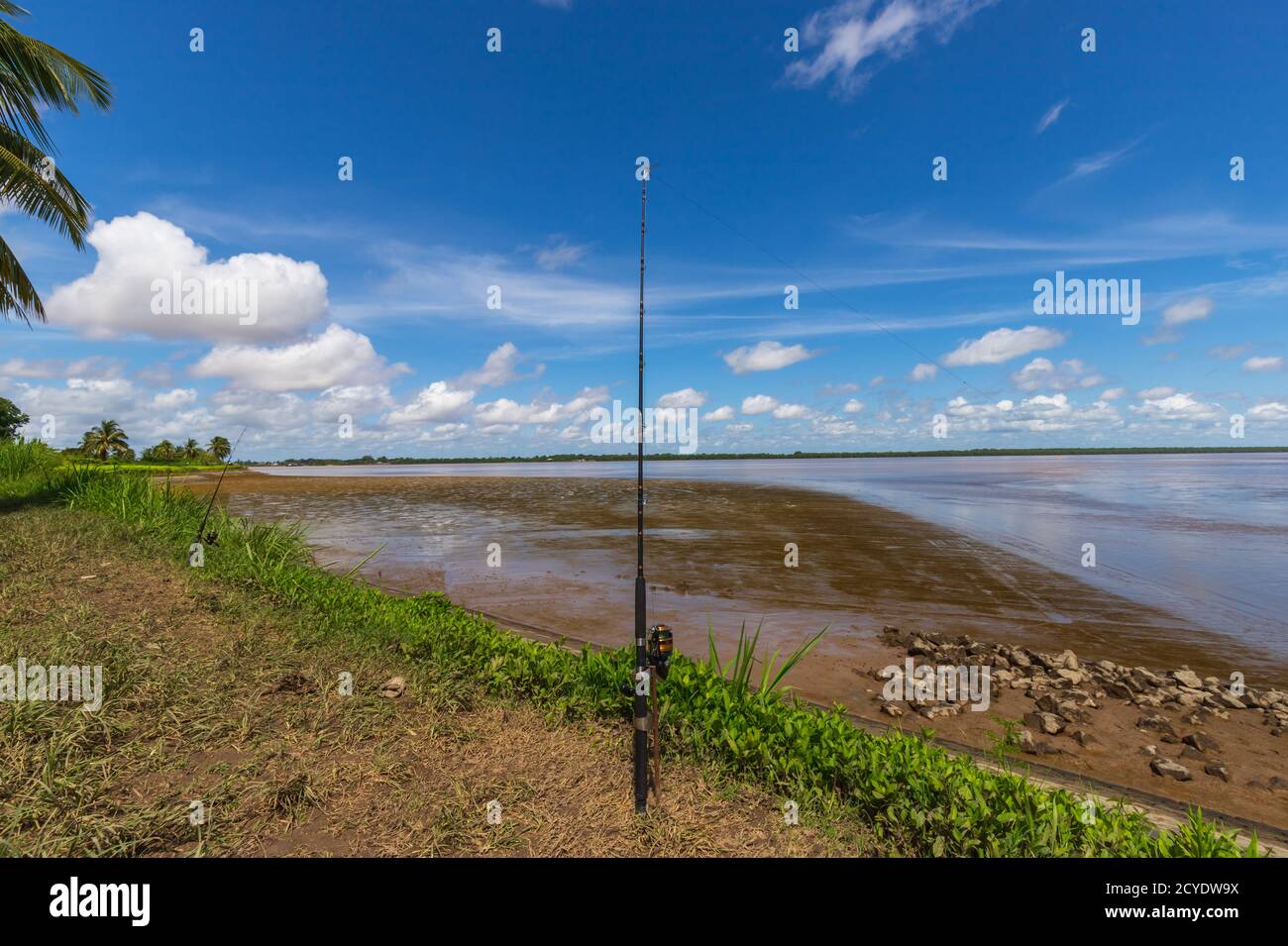 Deux pôles de pêche insérés dans le sol du Suriname Rive de la rivière Banque D'Images