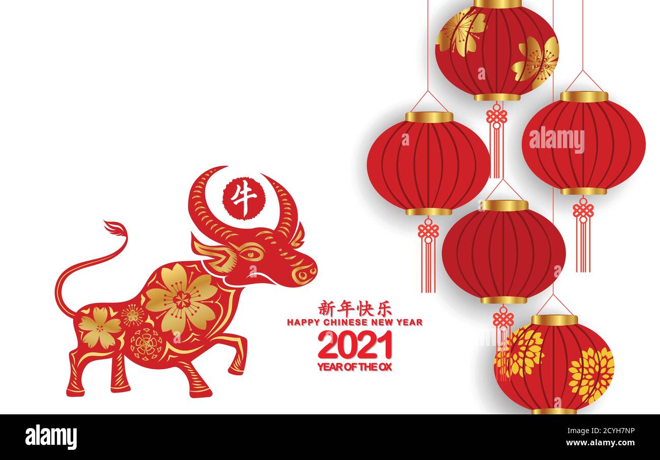 Happy Chinese New Year 2021 fond avec lanternes isolées sur fond blanc (traduction chinoise Happy chinese New Year 2021, Year of OX) Illustration de Vecteur