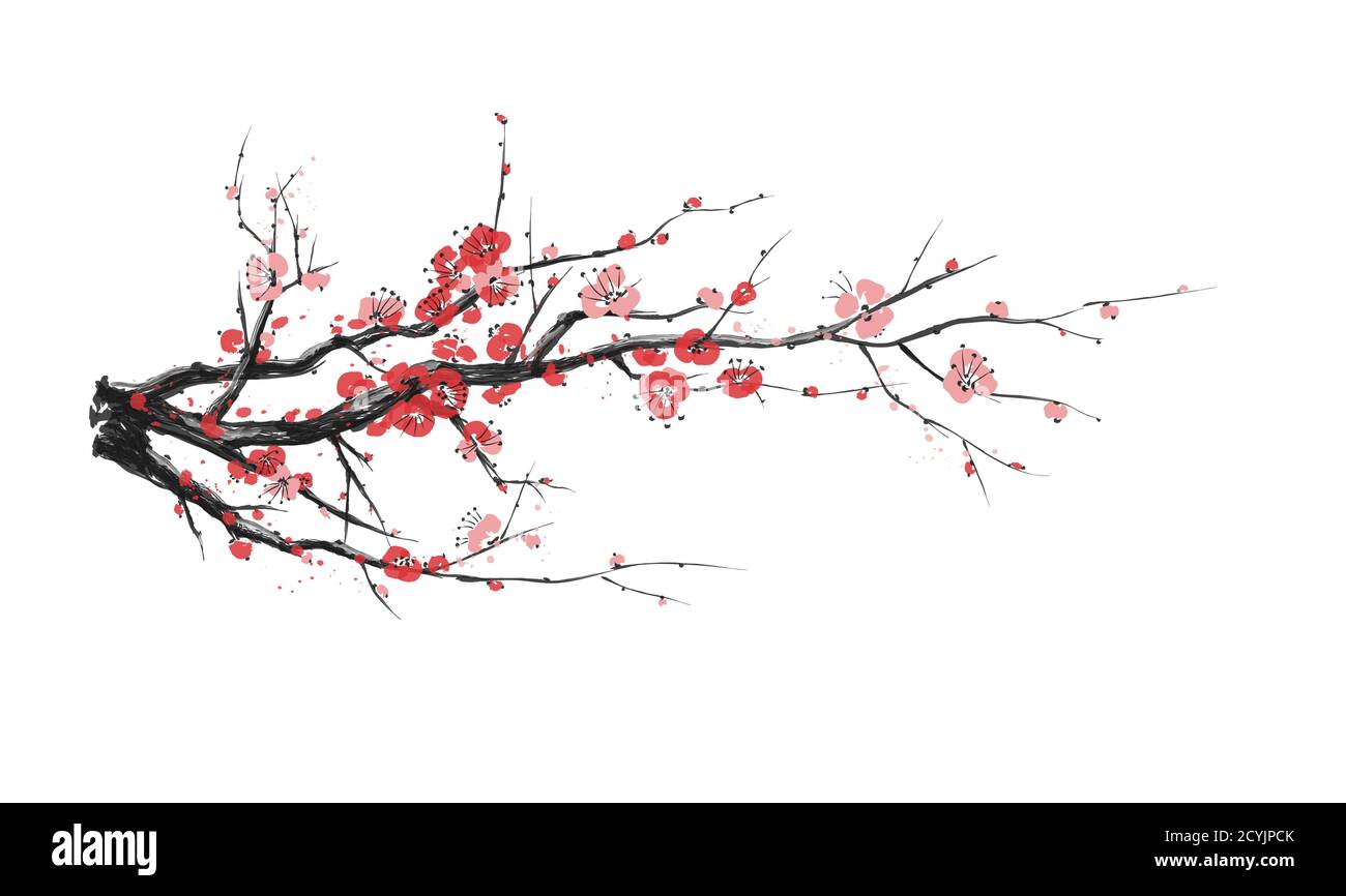 Fleurs de sakura réalistes - cerisier japonais isolé sur fond blanc - illustration vectorielle Illustration de Vecteur