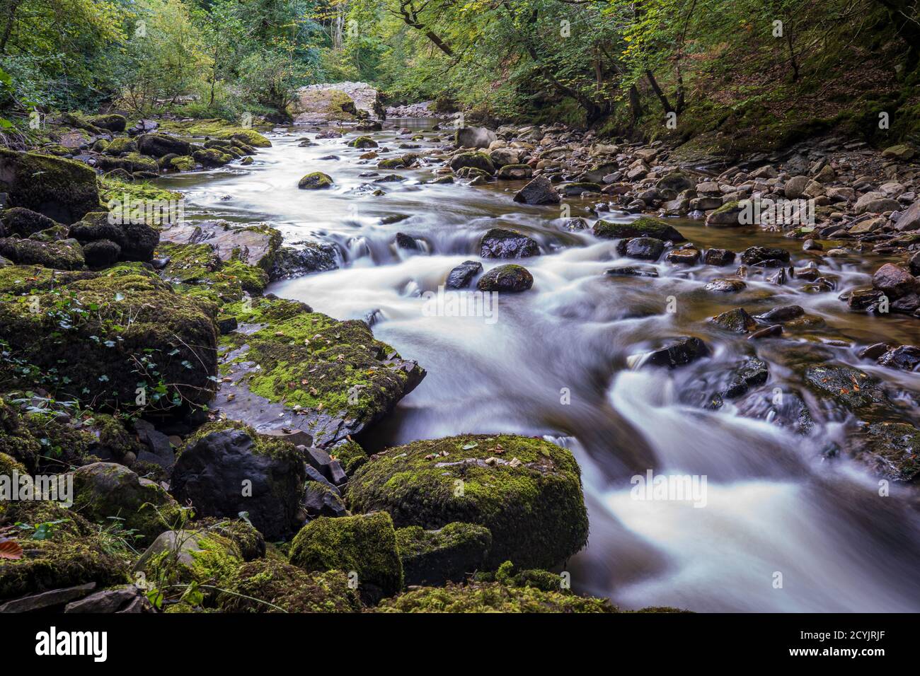 Waterfall Country dans le parc national de Brecon Beacons et Forest Fawr Geopark, la vallée de Neath. Pays de Galles du Sud, Royaume-Uni. Cascade à exposition longue Banque D'Images