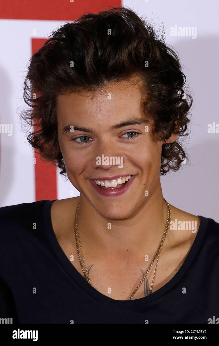 Harry Styles of the music group One Direction poses for photographers  during a photocall for their film 'One Direction; This is Us' in London  August 19, 2013. REUTERS/Suzanne Plunkett (BRITAIN - Tags: