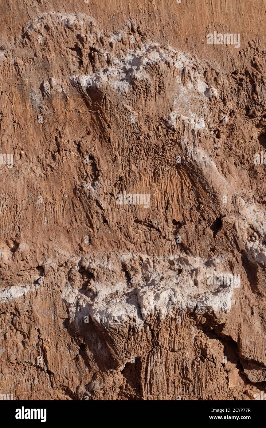 Dépôts de sel sur le sable rouge du paysage lunaire de la Valle de la Luna. Banque D'Images