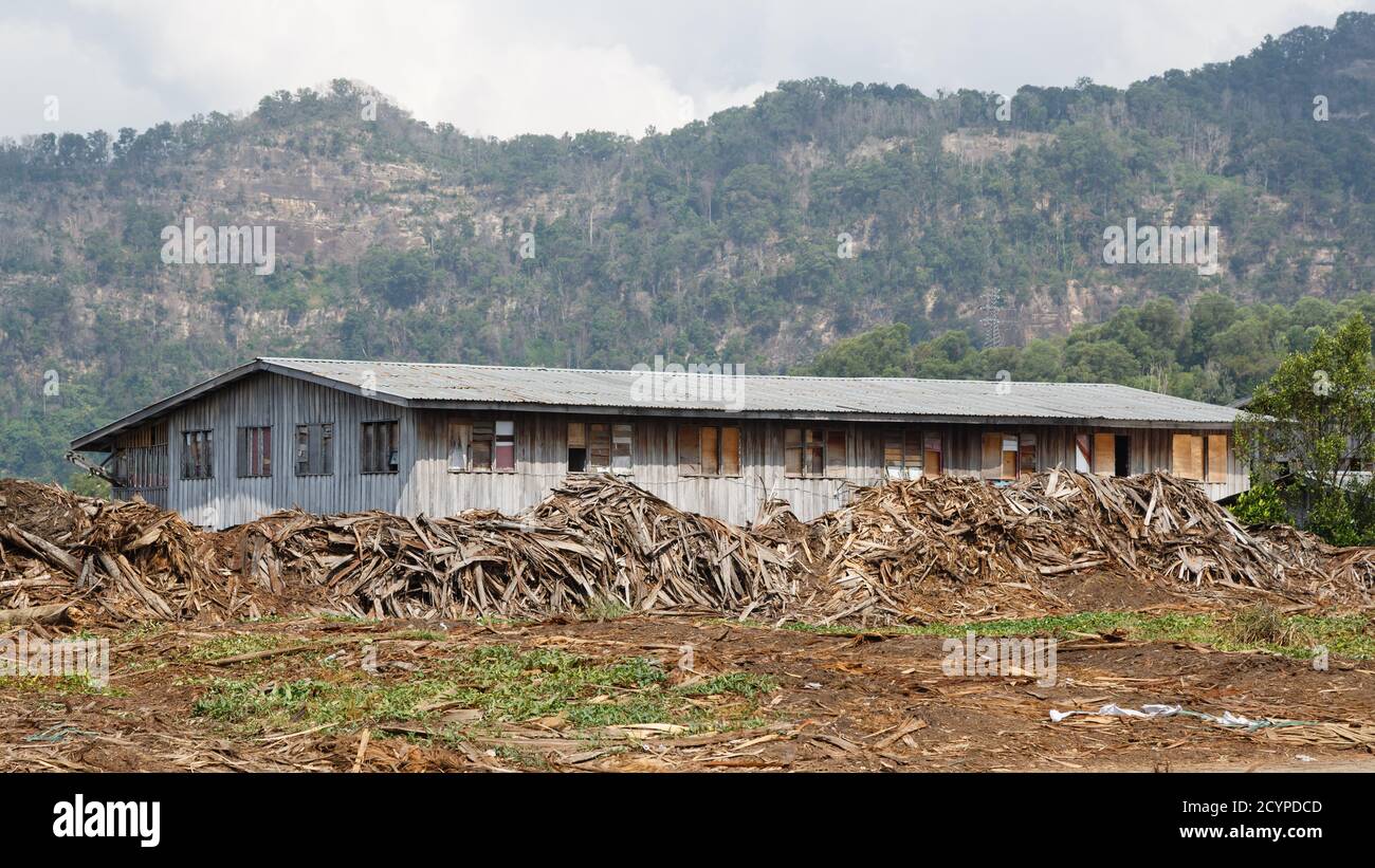 Le quart des travailleurs d'une usine de contreplaqué à Sandakan, Sabah, en Malaisie, s'est détaché de l'usine, au milieu de la zone de stockage du bois. Banque D'Images