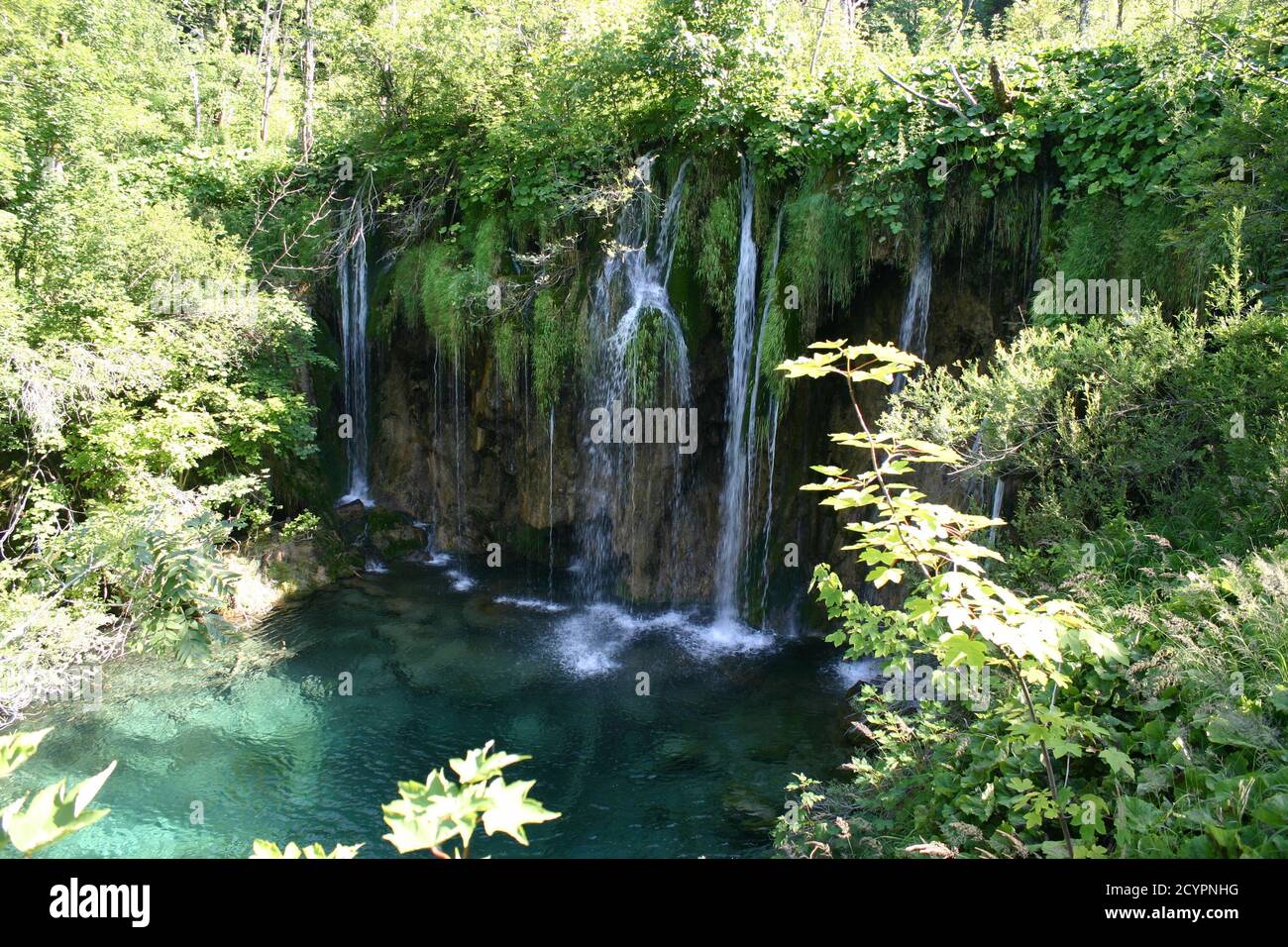 Lacs de Plitvice, parc national, Croatie Banque D'Images