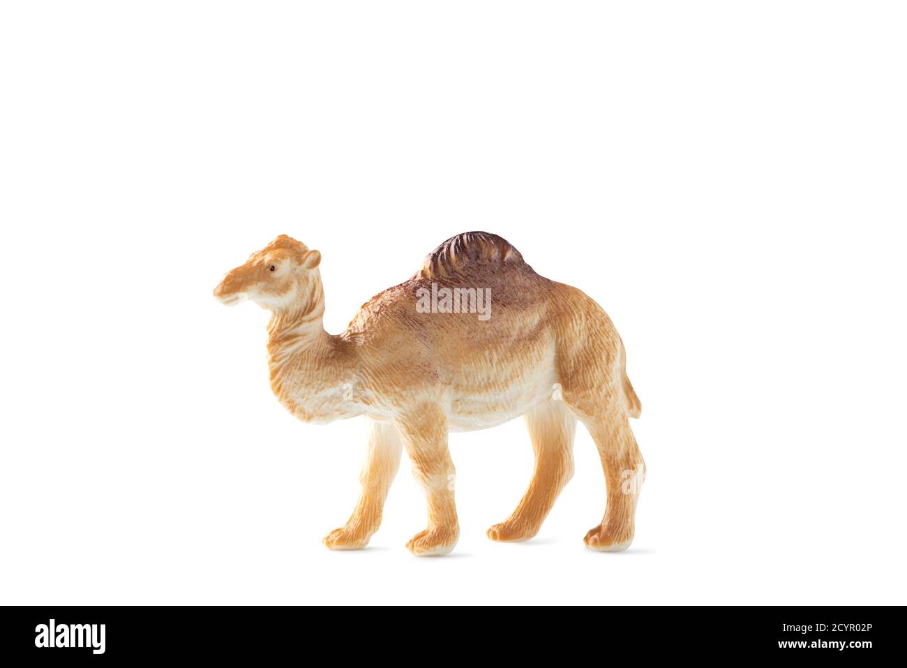 Mini figurine de chameau isolée sur fond blanc. Jouet animal en plastique Banque D'Images